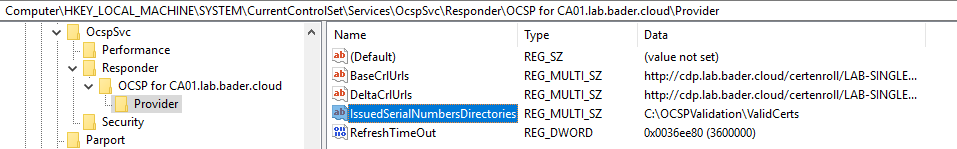 /en/golden-certificate-ocsp/images/registry-config.png /en/golden-certificate-ocsp/images/registry-config.png